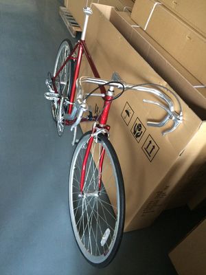 700C Road Bike met Hi-Ten Steel Lugged Frame Shimano 14S Classical en Caliper Brake