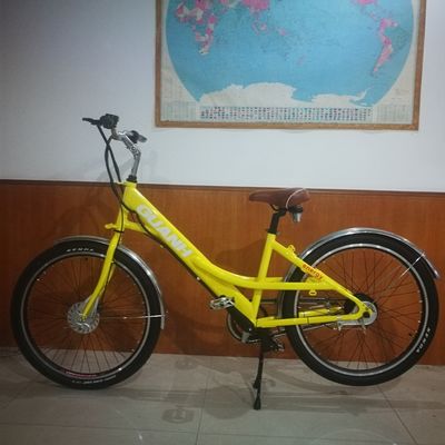 35V 350W 8.8AH Lithiumbatterij 26" Fast Food Delivery Cargo Elektrische fiets voor volwassen vrouwen 25KM/H CE Europe Market