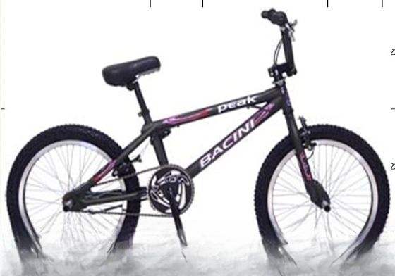 Steel Frame BMX De perfecte combinatie van stijl en functie
