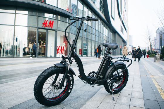 7 snelheid 20 " 48V 750W 14AH 20MPH Lithiumbatterij OEM UL2849 USA Markt Volwassenen Vrouwen Vrouwen Elektrische vouwbare sneeuw Grote platte band fiets