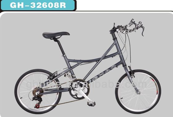 14 Speed 20 inch Mini Road Bike Fiets met dubbele wand Aluminium Rim en opvouwbaar