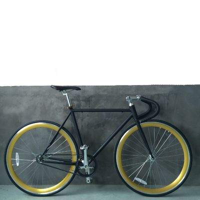 13kg Gross Weight Belt Drive Fixed Gear Bike met Hi-Ten Steel Frame en Style Design
