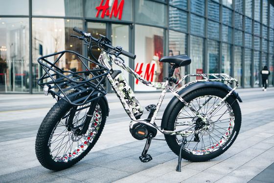 48V 17AH 1000W BaFang Central Motor Electric Mountain Bike met 26" dikke sneeuwbanden