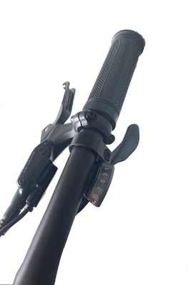26*4&quot; bandbreedte 48V 1000W 17AH BAFANG Middenmotor Elektrische volvering Mountainbike