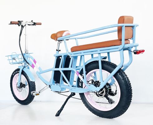 20" 48V 1000W Dual Batterijen 34AH Lithiumbatterij 50KM/H Achter Hub Motor Sneeuw Electric Bike