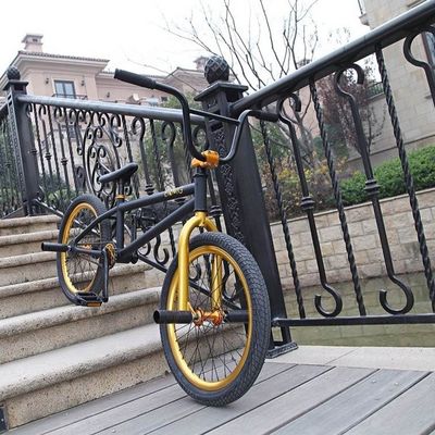 20 inch Kid Boy Freestyle BMX Fiets Mini Street Kleine wielen Laadcapaciteit 100KG OEM