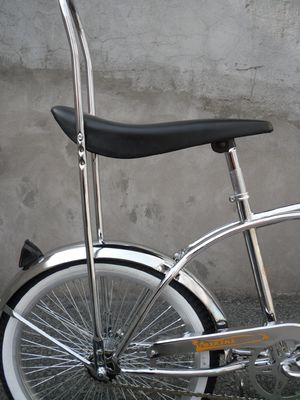 20 inch Steel CP Frame Coaster Spring Fork Mini Child Lowrider Bike met gewoon pedaal
