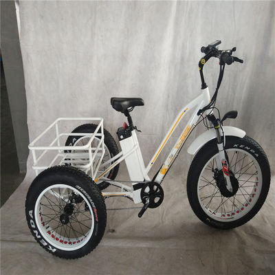 750W elektrische fiets 3 wielen volwassen vetband E trike vrachtkoppel 70-80 Nm schijfremmen