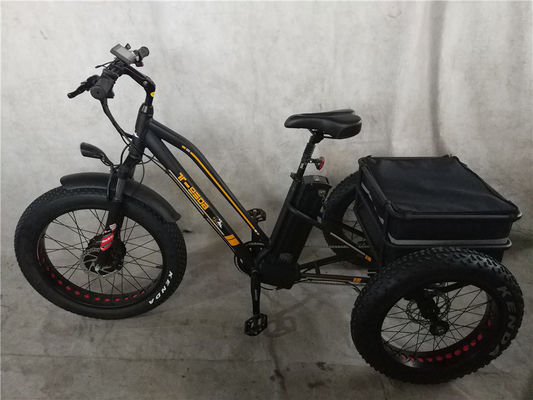 750W elektrische fiets 3 wielen volwassen vetband E trike vrachtkoppel 70-80 Nm schijfremmen