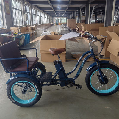 750W elektrische fiets 3 wielen volwassen vetband E trike vrachtkoppel 70-80 Nm schijfremmen