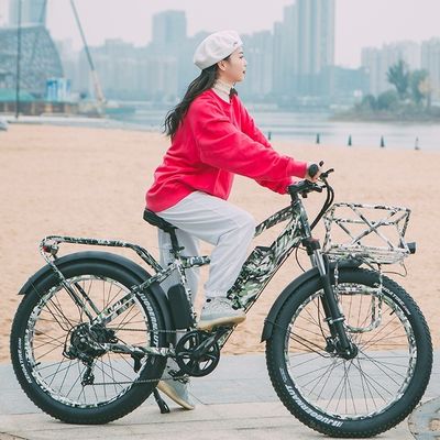 52V 1000W Bafang Motor 17AH Lithium 55KM/H Achterste Hub Sneeuw Vetband Berg Elektrische Fiets