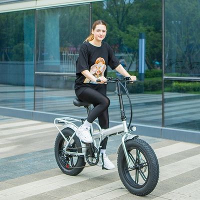 High Speed 20&quot; 750W elektrische fiets met 4.0 Big Snow Tire en MagWheel BaFang Motor