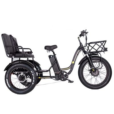 Lichtgewicht aluminium frame elektrische driewieler 48V 750W 21AH 50KM/H voor volwassen passagier