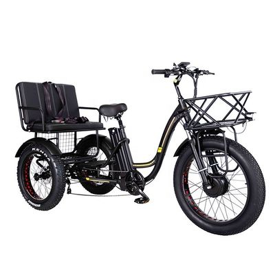 Lichtgewicht aluminium frame elektrische driewieler 48V 750W 21AH 50KM/H voor volwassen passagier