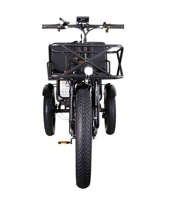 Lichtgewicht aluminium frame elektrische driewieler 48V 750W 21AH 50KM/H voor volwassen passagier