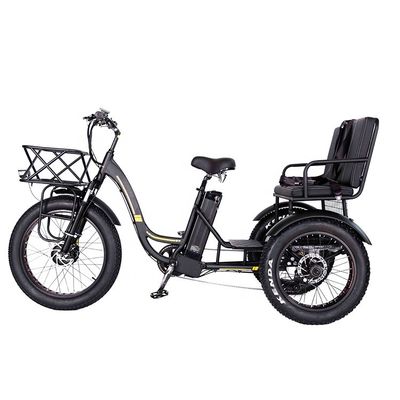 Lichtgewicht aluminium frame elektrische driewieler 48V 750W 21AH 50KM/H voor volwassen passagier