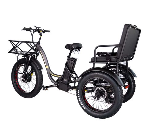 Lichtgewicht aluminium frame elektrische driewieler 48V 750W 21AH 50KM/H voor volwassen passagier