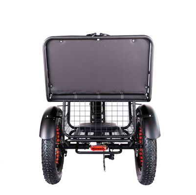 Lichtgewicht aluminium frame elektrische driewieler 48V 750W 21AH 50KM/H voor volwassen passagier