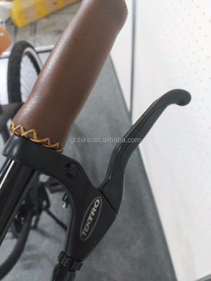 26 Inch Men's Single Speed Vintage Spring Fork Beach Cruiser voor Flatland Competitie
