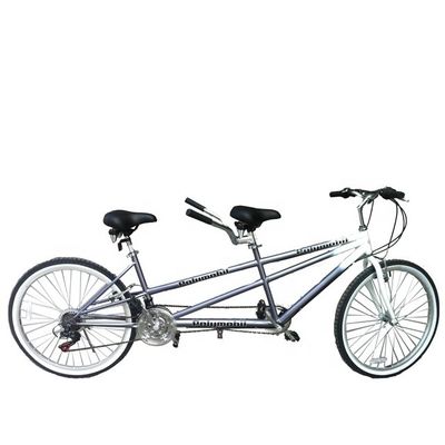 26 inch 18 Speed Mountain Retail 20% korting CE OEM EN14764 Double Person Tandem Fiets