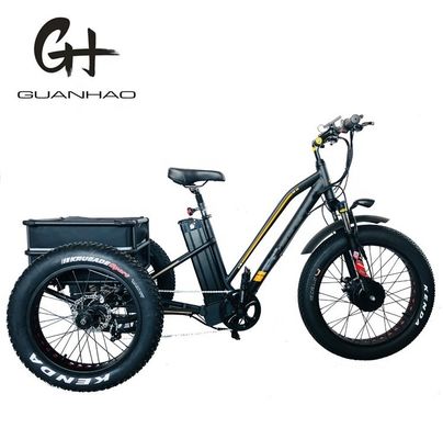 750W voormotor 24 4.0 Fat Tire Snow 48V E Trike Driewieler Cargo Elektrische driewieler