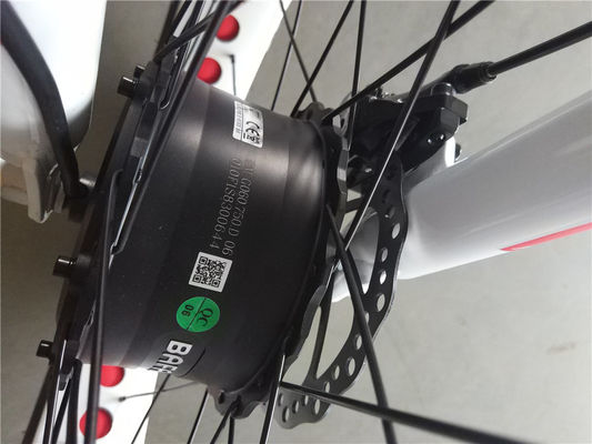 750W voormotor 24 4.0 Fat Tire Snow 48V E Trike Driewieler Cargo Elektrische driewieler