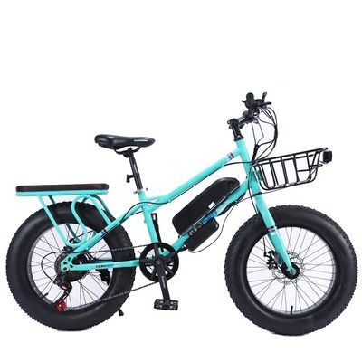 20" 500W 48V13AH OEM/ODM EN15194 Disc Brake Elektrische fiets voor buiten plezier van kleine kinderen