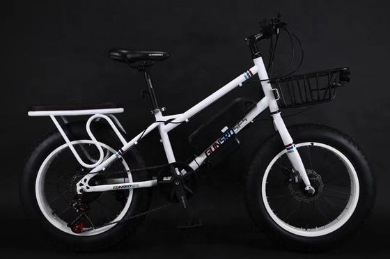 20" 500W 48V13AH OEM/ODM EN15194 Disc Brake Elektrische fiets voor buiten plezier van kleine kinderen