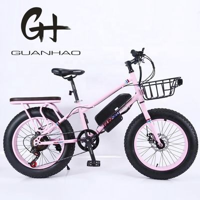 20" 500W 48V13AH OEM/ODM EN15194 Disc Brake Elektrische fiets voor buiten plezier van kleine kinderen
