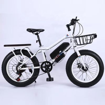 20" 500W 48V13AH OEM/ODM EN15194 Disc Brake Elektrische fiets voor buiten plezier van kleine kinderen