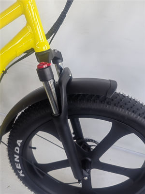 26 inch Fat 4.0 band 48V 750W 45KM/H 21AH Electric Beach Cruiser Bike met LCD display
