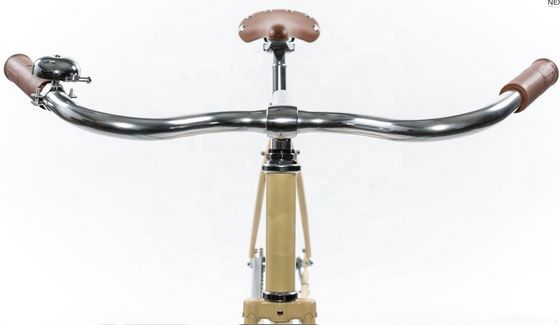 Hard Frame 1.8m Lengte CE Coaster Brake Single Speed Hybrid City Bike voor volwassen mannen