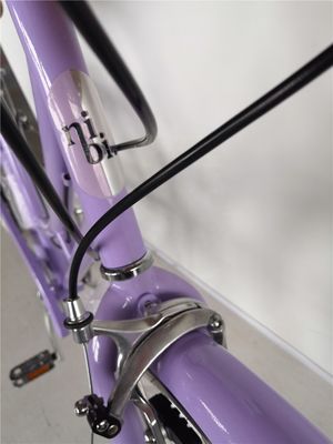 KMC Ketting 26 inch Europa OEM CE Shimano 7 snelheden Vrouwen Lady City Bike 1.8m Lengte