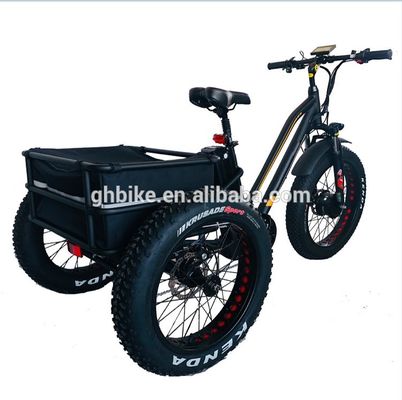 Maximale snelheid 50km/h 8Fun 750W Front Motor 4.0 Fat Tire Cargo Electric Trike Driewieler 3 Wielen