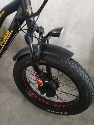 Maximale snelheid 50km/h 8Fun 750W Front Motor 4.0 Fat Tire Cargo Electric Trike Driewieler 3 Wielen