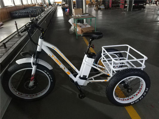 Maximale snelheid 50km/h 8Fun 750W Front Motor 4.0 Fat Tire Cargo Electric Trike Driewieler 3 Wielen