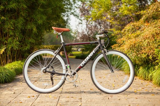 Verborgen lithiumbatterie 700C 36V 250W 8.8AH 25KM/H Single Speed Electric Bike voor volwassen mannen