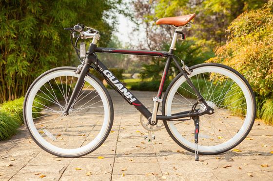 Verborgen lithiumbatterie 700C 36V 250W 8.8AH 25KM/H Single Speed Electric Bike voor volwassen mannen