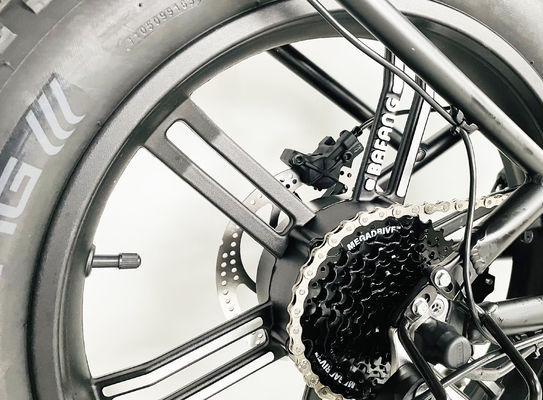 Alloy Crank 7 Speed Gears Fat Tire Folding Ebike met 21A Lithiumbatterij en 750W Motor