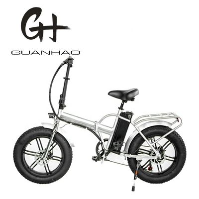 48V 13AH 750W elektrische vouwfiets met 20" opvouwbaar frame en magnesium allooi wielstel