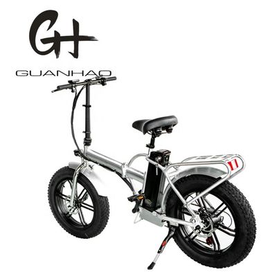 48V 13AH 750W elektrische vouwfiets met 20" opvouwbaar frame en magnesium allooi wielstel