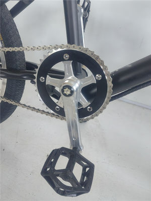 KT Controller 2024 250W 24V 10.4 A PAS Single Speed Electric Bike met verborgen batterij