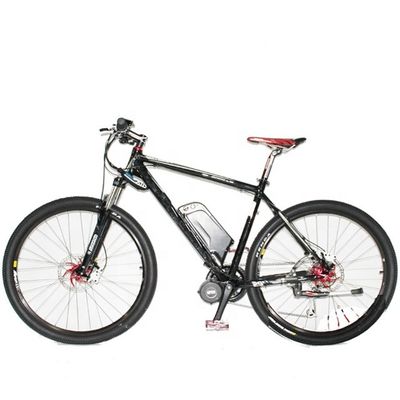 Hoge capaciteit 29" 1000W 48V 17Ah Lithiumbattery Elektrische bergfiets voor volwassen mannen