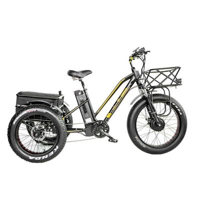 Scheerrem 750W Elektrische vracht driewieler vetband 3 wielen E-trike voor langeafstandsreizen