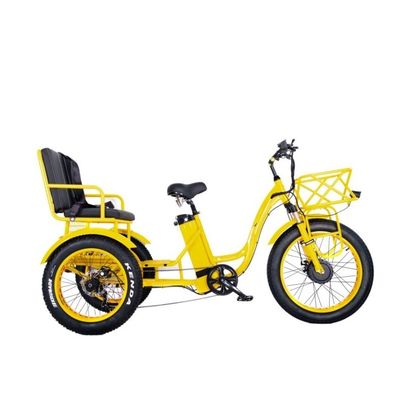 Scheerrem 750W Elektrische vracht driewieler vetband 3 wielen E-trike voor langeafstandsreizen