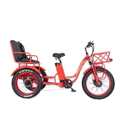 Scheerrem 750W Elektrische vracht driewieler vetband 3 wielen E-trike voor langeafstandsreizen
