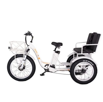 48V E Trike 3 Wheel 750 Watt Fat Tire Rickshaw met Bafang 750W motor en prestaties
