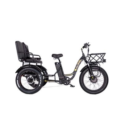48V E Trike 3 Wheel 750 Watt Fat Tire Rickshaw met Bafang 750W motor en prestaties
