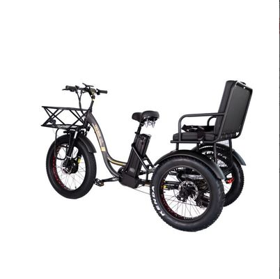 48V E Trike 3 Wheel 750 Watt Fat Tire Rickshaw met Bafang 750W motor en prestaties