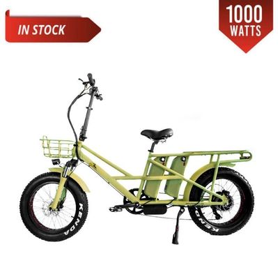 48V elektrische dubbele motor 1000 Watt Long Range Fat Tire Cargo E-Bike met snel opladen